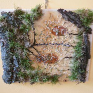 Moss & Bark Original Artwork